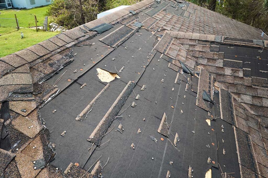Residential home with a planted roof section, solar panels, and durable roofing materials in a four-season setting.